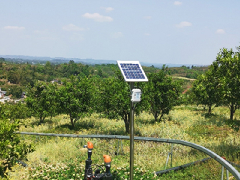果園灌溉水帶應用