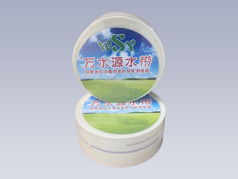你的水帶堵塞是為什么